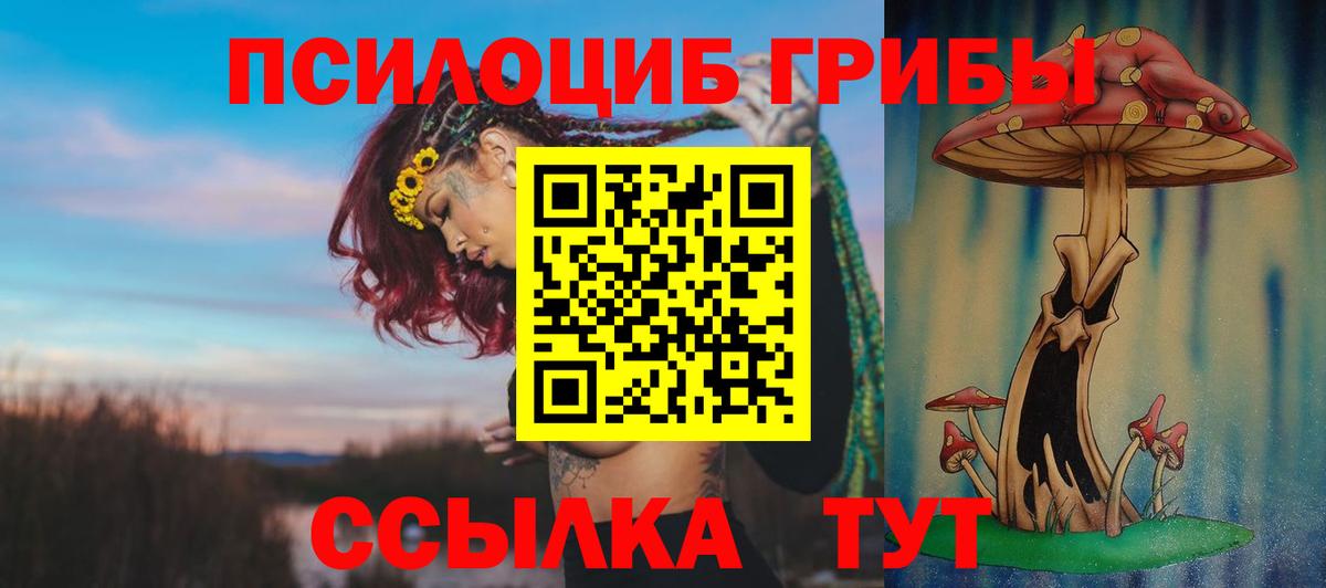 Владивосток  Галлюциногенные грибы Cubensis  Вход с VPN 